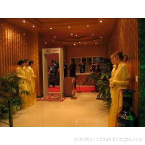 Body Scanner Walk through Metal Detector